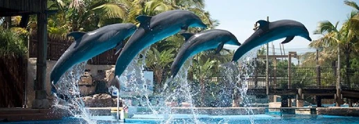 Business class flights to Durban